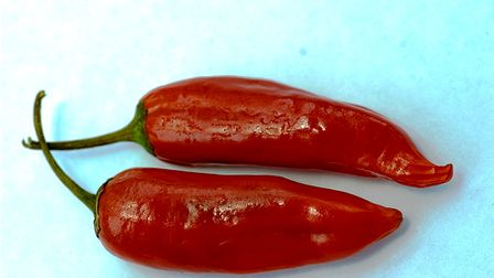 5 Content Marketing Trends That Are No Longer Hot in 2016