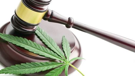 New York Fails to Legalize Recreational Cannabis – Decriminalizes Instead