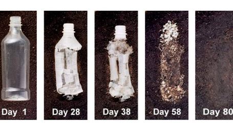 Hemp Bioplastic - The Solution to Pollution?