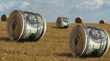 Coronavirus Relief Bill to Include Grants and Loans to Farms and Agriculture Businesses