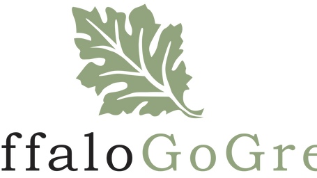 Give716 for Buffalo Go Green Inc.!