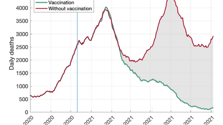 26 Million Cases, 279K Deaths Averted by the COVID-19 Vaccine, New Study Says