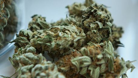 Legalized Marijuana is Coming to New York Sooner Than You May Think: What We Know and Don’t Know So Far