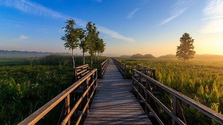 Conservation Easements: Save Money & Keep Your Land with Your Family