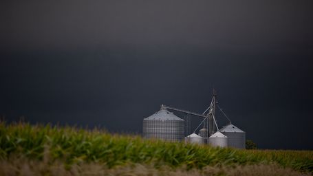 Farm bankruptcies on the rise