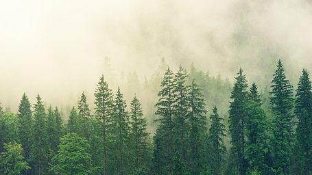 ESG INVESTING SEMINAR ON SUSTAINABILITY