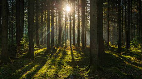 Important Deadline for Existing Conservation Easements