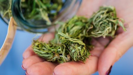 Injunction Remains for the 30 Provisional CAURD Licenses