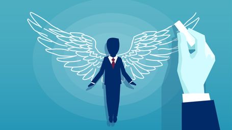 Failures and Fraud in Early-Stage Angel Investing.