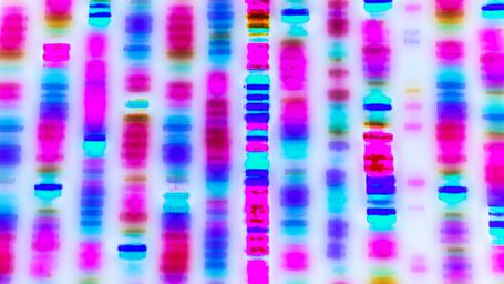 23andMe DNA Database Has Uncertain Future