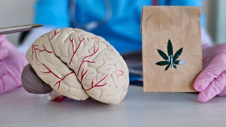 President Trump Signs Executive Order to Reclassify Cannabis