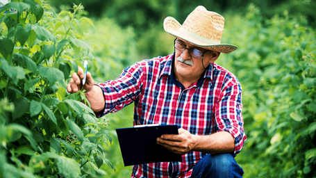 Data, insight and action support greener companies?