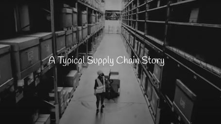 What story brings to life your program goals?