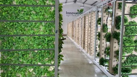 The future of farming? Straight up...