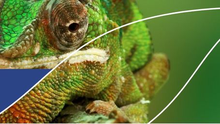 EU Green Claims Directive proposed