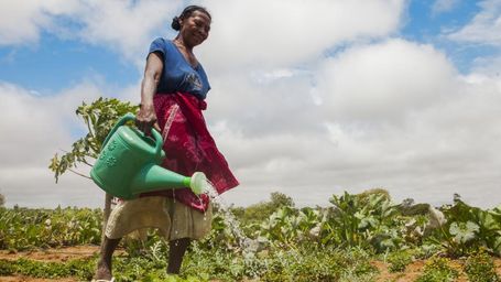 Put water at the heart of what you do