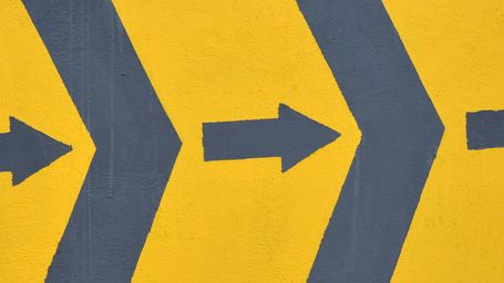 The EU Deforestation Regulation (EUDR) is round the corner