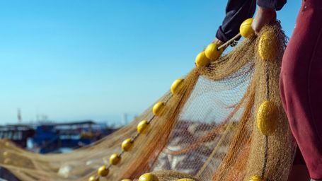 Seafood: we all love it, but at what cost?