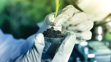 Food Safety Management: The Role of Validated Food Safety Plans