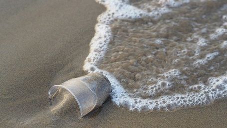The impact of plastic waste in the seafood supply chain