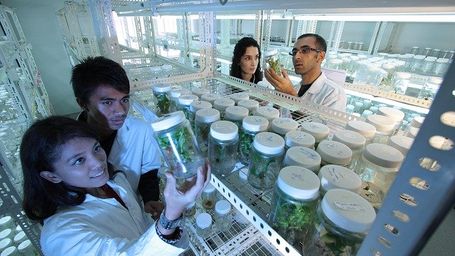 Yellowstone National Park- A future for the world’s food supply? AND other Radical Innovation That Will Shape the Future of Food?