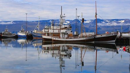 The fisherman's friends?