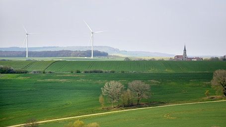 EU Paving the Way for Human Rights and Environmental Due Diligence