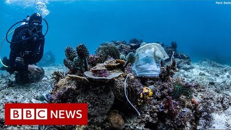 Plastic, plastic, plastic....and now PPE