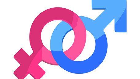 The Gender Lens in Supply Chains