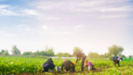 Protecting Vulnerable Workers in Supply Chains