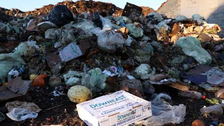 The world wastes more than 1 billion meals every day as hundreds of millions go hungry, UN report finds