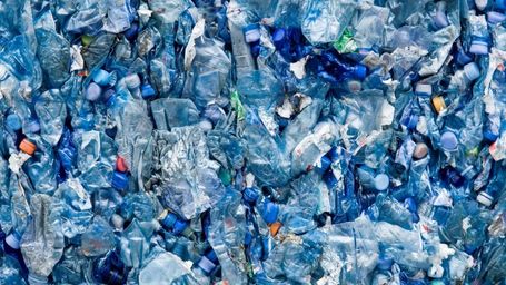 Earth Day: A Time to Emphasize Our Role in Protecting the Planet