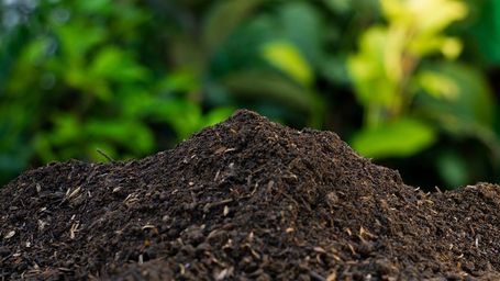       Get the Dirt on How to Compost at Home! 
