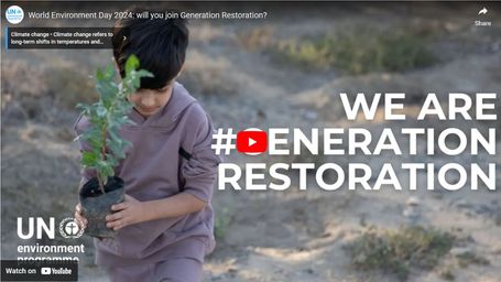 Celebrating World Environment Day 2024: A Personal Journey of Growth and Restoration 