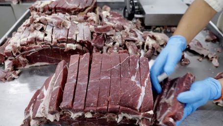 China and Brazil to try out beef traceability plan