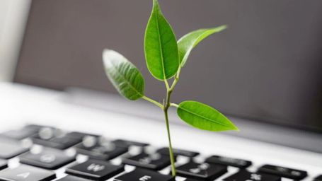 11 Sustainable Swaps for Your Home Office