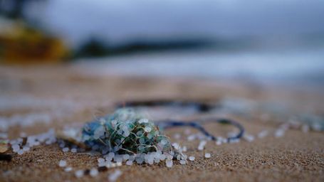 To address the growing issue of microplastics in the Great Lakes, we need to curb our consumption