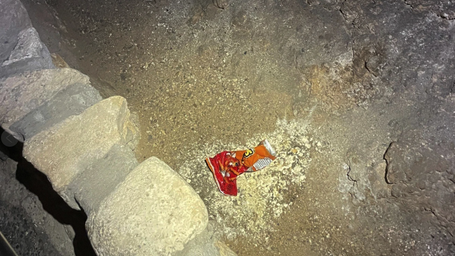 A bag of Cheetos created a huge impact on a national park ecosystem