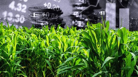 Fresh Thinking On Farm Finances