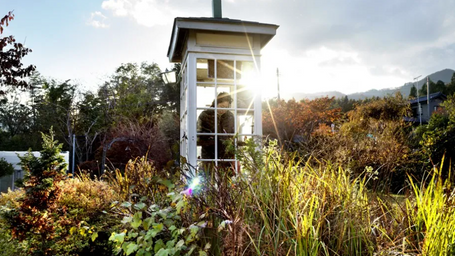 Wind phones help the bereaved get a second chance