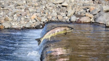 New Global Database Could Transform Management of Dams and Reservoirs