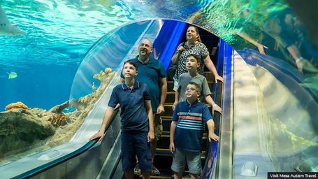 'It seems like a simple thing, but it means a lot': How autism-certified destinations are changing travel