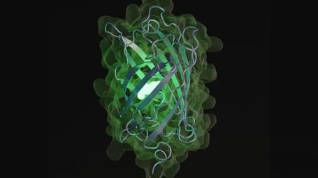 Researchers Create New Protein Using AI Model