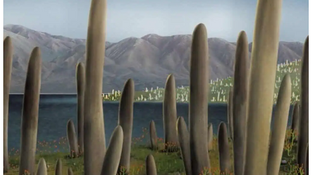 A Fossil So Strange Scientists Think It’s From a Completely New Form of Life