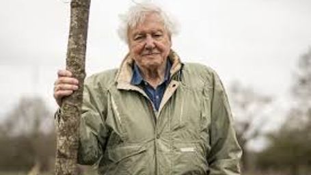 Happy Birthday to Sir David Attenborough