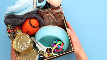 Pet Sustainability Coalition addresses plastic scrap in pet industry