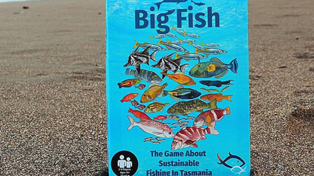 Size Matters: Diversity in Fish Populations Keeps Our Oceans Healthy