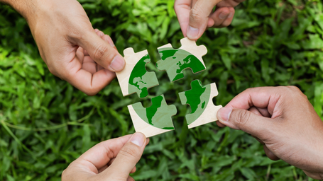 88% of Companies See Sustainability as a Long-Term Value Driver, Morgan Stanley Report