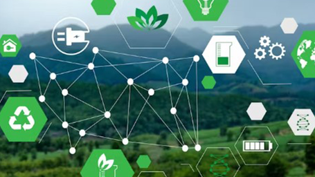 Companies Stay Committed to Sustainability Efforts