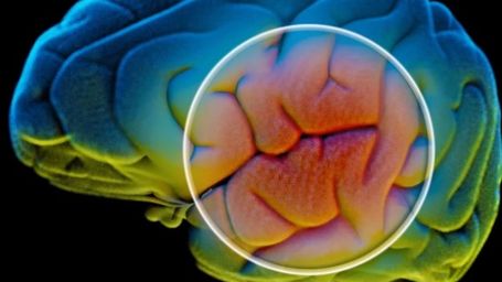'Master switch' brain protein could reverse age-related memory loss